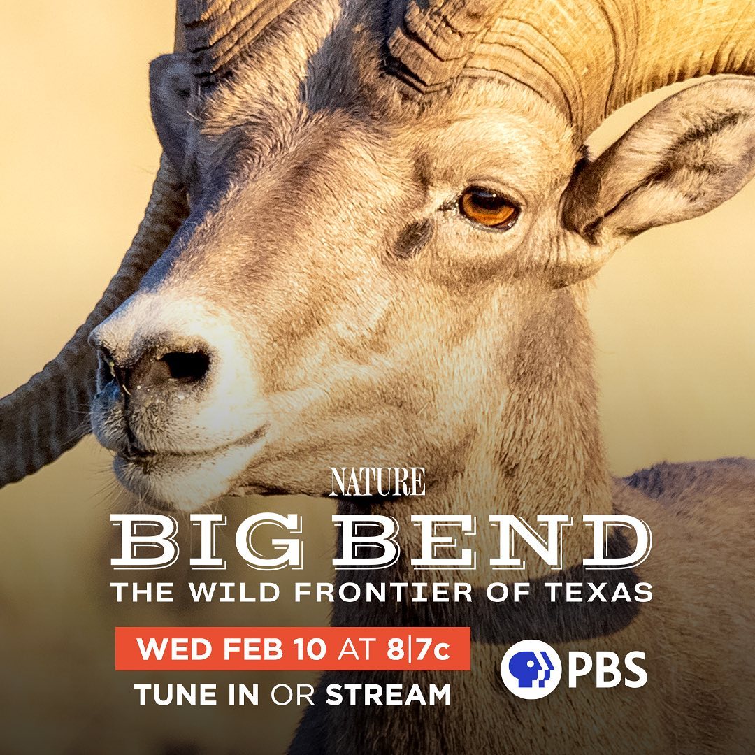 Legends of Texas come alive along this wild frontier